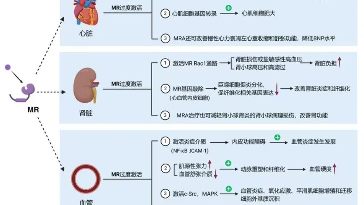 医生向患者解释非奈利酮用药注意事项